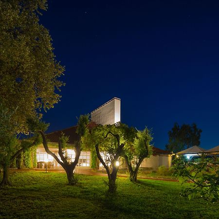 Locanda Dell'Angelo Luni Екстер'єр фото